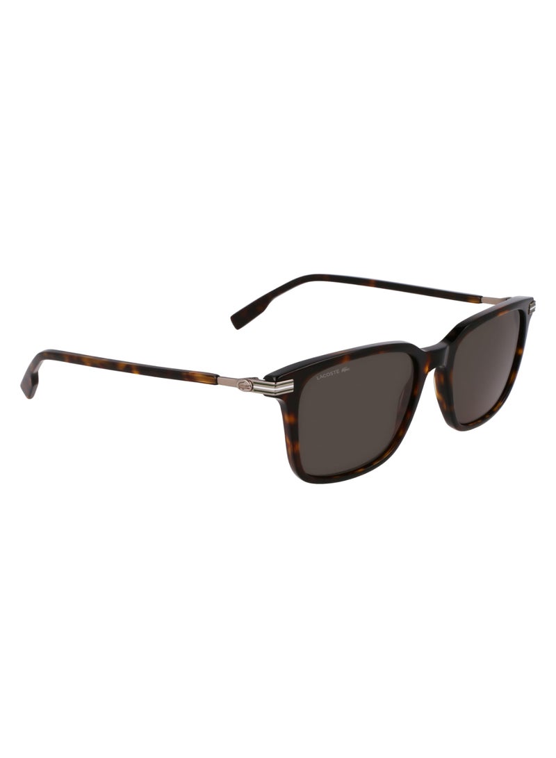 LACOSTE FULL RIM METAL ACETATE LACOSTE SUNS L6035S 5318 (230) DARK HAVANA - Image 3