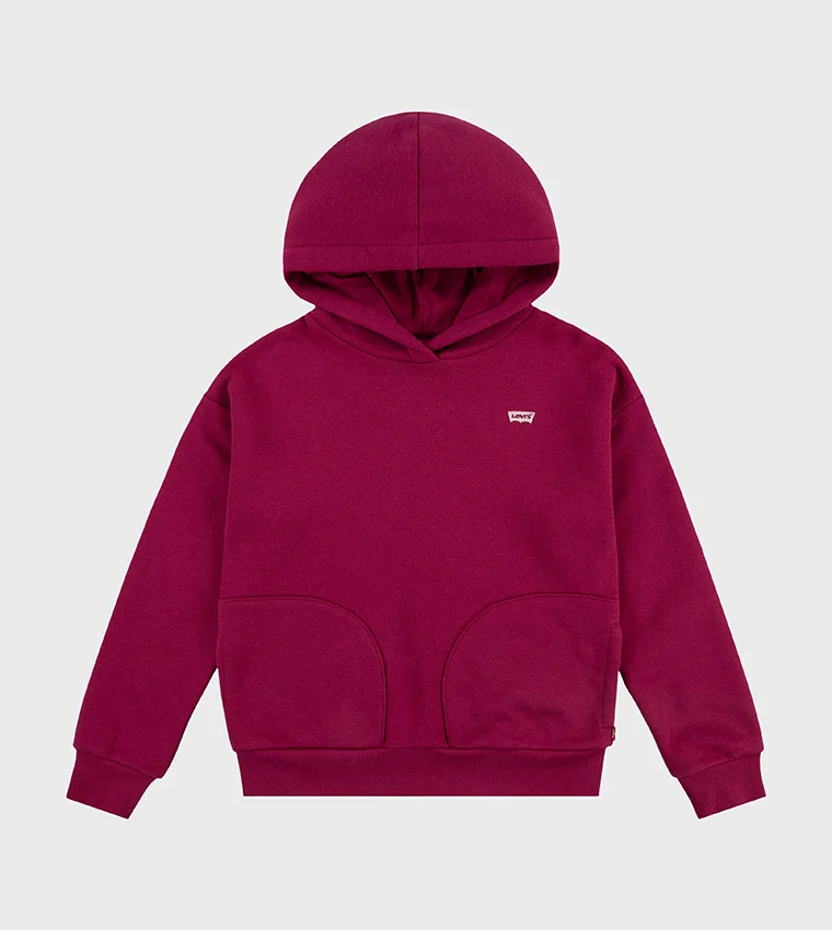 Levi's Kids Batwing Chest Hit Hoodie