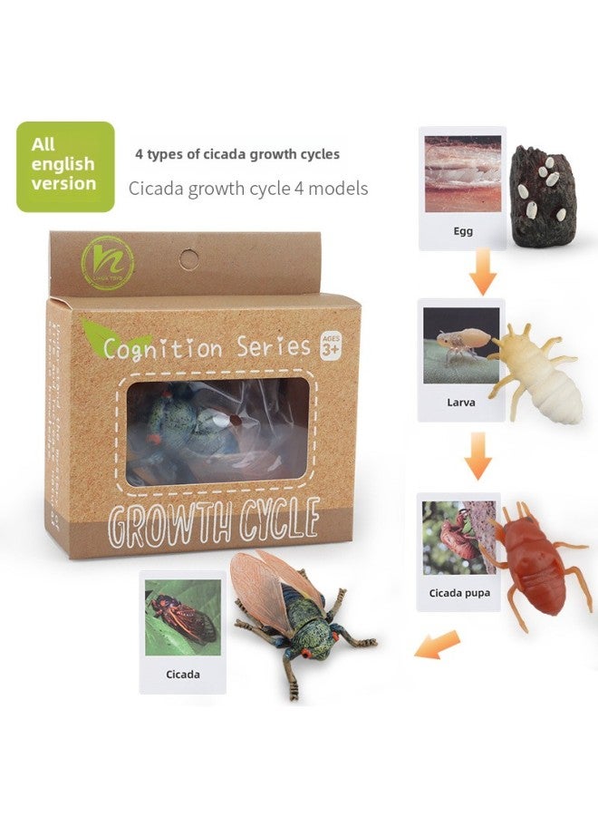 Realistic Simulation Animal Plant Models Toy Collection - Dinosaurs Dragons Unicorns Mermaids Sharks More-Color:PL127-2433 Cicada Growth Cycle + English Card + Color Box 91.5G  - Image 1