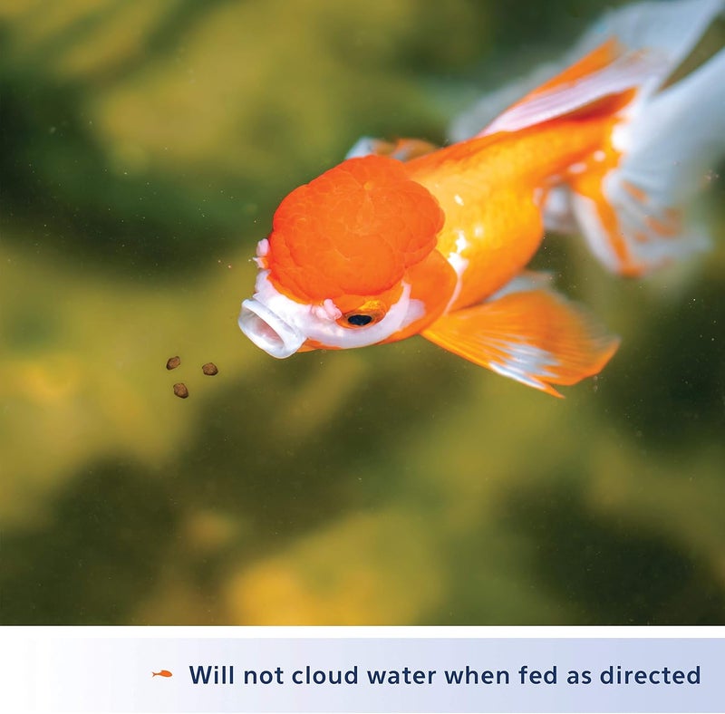 Aqueon Goldfish Fish Food Slow Sinking Granules, 5.8 Ounce, 100106053 (Pack of 2) - Image 3
