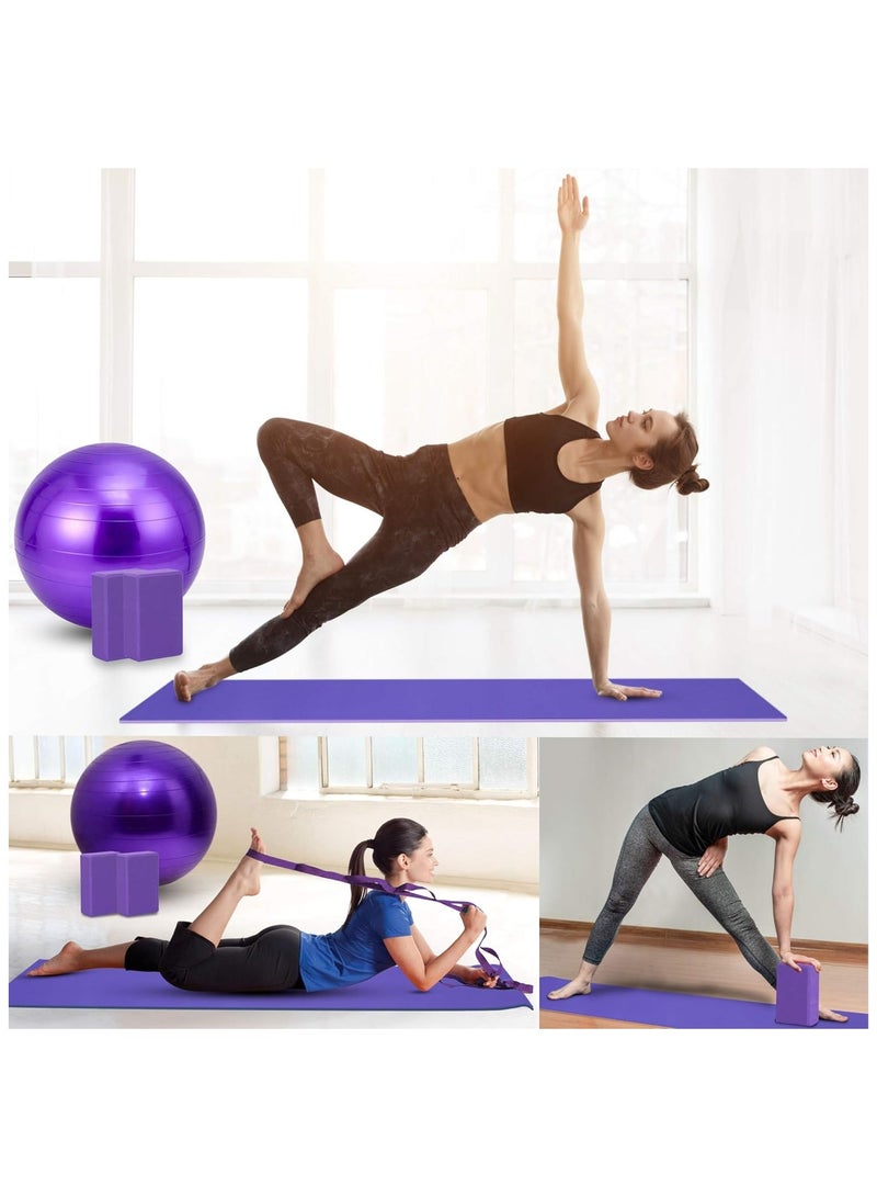 XiuWoo Yoga Sets for Women Pilates Yoga Home Fitness Set,Yoga Mat, Yoga Ball, Stretch Band, Resistance Band, Tension Circle, Yoga Brick, Yoga Home Fitness Set,  For Full Body Workouts - Image 3