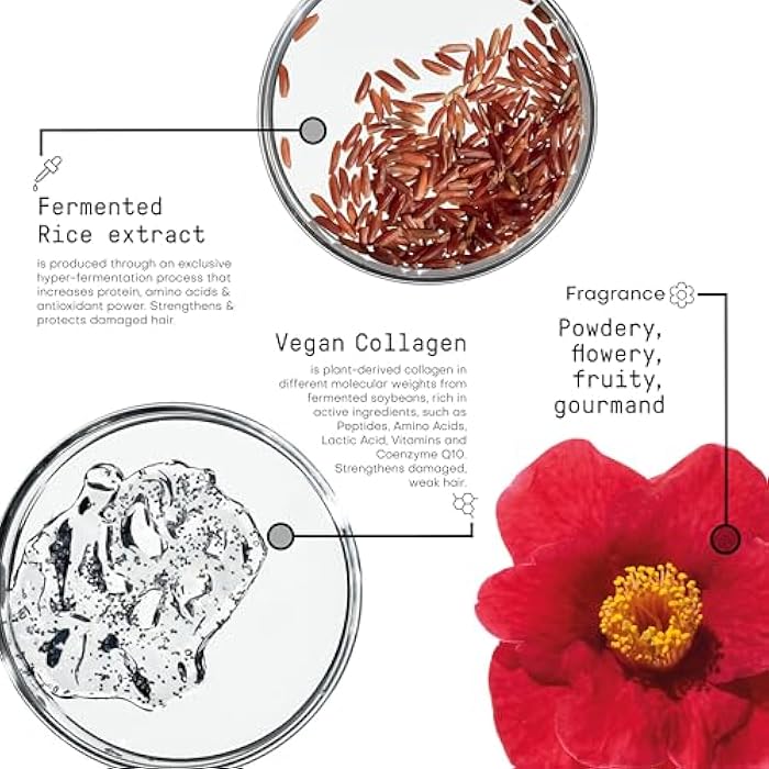 FRAMESI Morphosis Restructure Conditioner 8.4 fl oz - Image 4