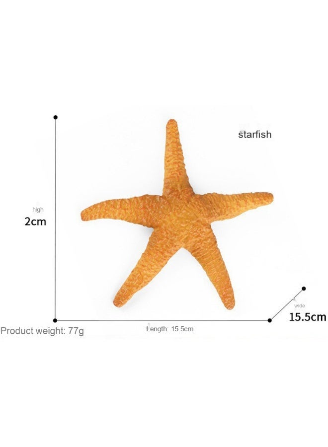 NIBEMINENT Educational Animal Model for Kids - Realistic Marine Life Starfish