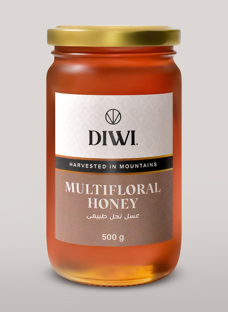 DIWI Multifloral Honey 500g - Image 1