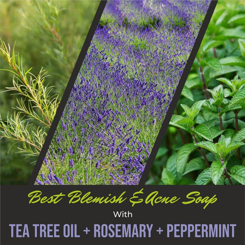 First Botany, ALL Natural Body Wash - Fights Body Odor, Athlete's Foot, Jock Itch, Nail Issues, Dandruff, Acne, Eczema, Shower Gel for Women & Men, Skin Cleanser -16 fl oz (Rosemary Mint) - Image 5