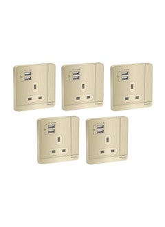 Schneider Electric AvatarOn E8315USB_GH_G12 Switched Socket 2 USB Charger 3P, 13A, 250V, Metal Gold Hairline - Pack of 5 - pzsku/Z42D7B8AE4778BFD0FCCEZ/45/_/1709728547/c693216a-699e-42d9-aeef-34c7ad519453