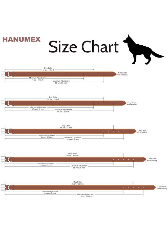 Hanumex Genuine Leather Dog Neck Belt: Snaffle Studded Collar For Dogs - Black Leather With Tan Soft Cushion, Strong Ss Buckle - Image 3
