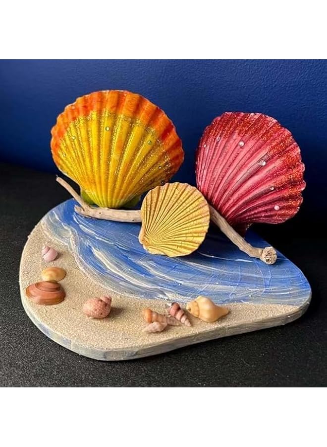 The Bros Scallop Shells,6Pcs Sea Shells for Crafts Baking Cooking Serving Food,Natural SeashellsBaking Shells, Crafts DIY Painting Beaching Wedding Decoration, Beach Natural Scallop Shells Bulk - Image 4