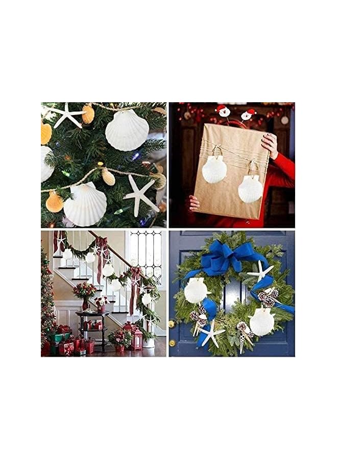 The Bros Scallop Shells,6Pcs Sea Shells for Crafts Baking Cooking Serving Food,Natural SeashellsBaking Shells, Crafts DIY Painting Beaching Wedding Decoration, Beach Natural Scallop Shells Bulk - Image 3