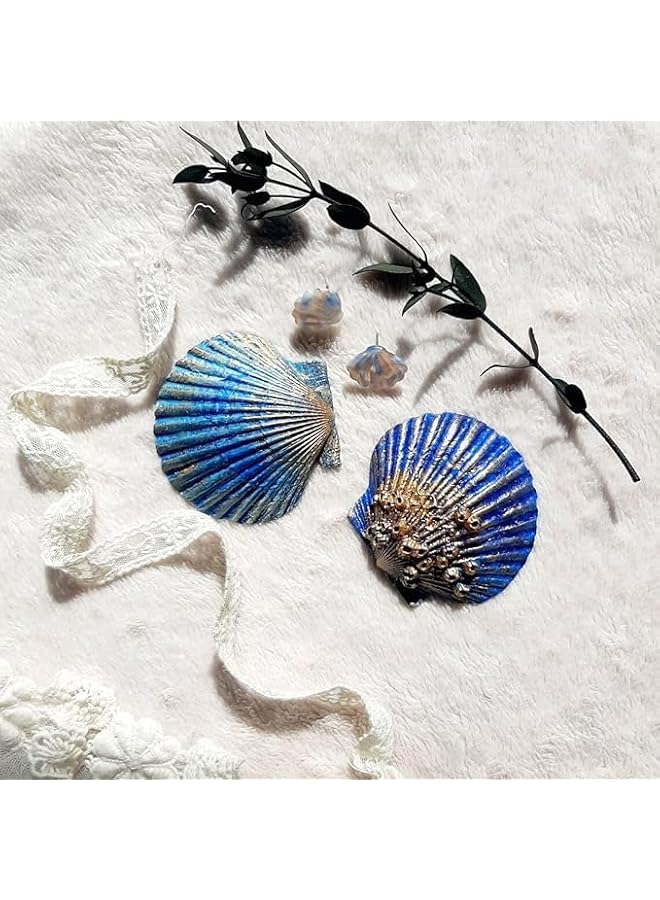 The Bros Scallop Shells,6Pcs Sea Shells for Crafts Baking Cooking Serving Food,Natural SeashellsBaking Shells, Crafts DIY Painting Beaching Wedding Decoration, Beach Natural Scallop Shells Bulk - Image 5