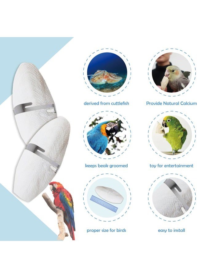Jmxus 5"-5.5" Bird Cuttlebone for Parakeets, Cuddle Bone with Metal Holder, Cuttlefish Bone for Sharp Beaks, Natural Birds Calcium for Parrots Cockatiels Budgie, 6 Pcs - Image 4