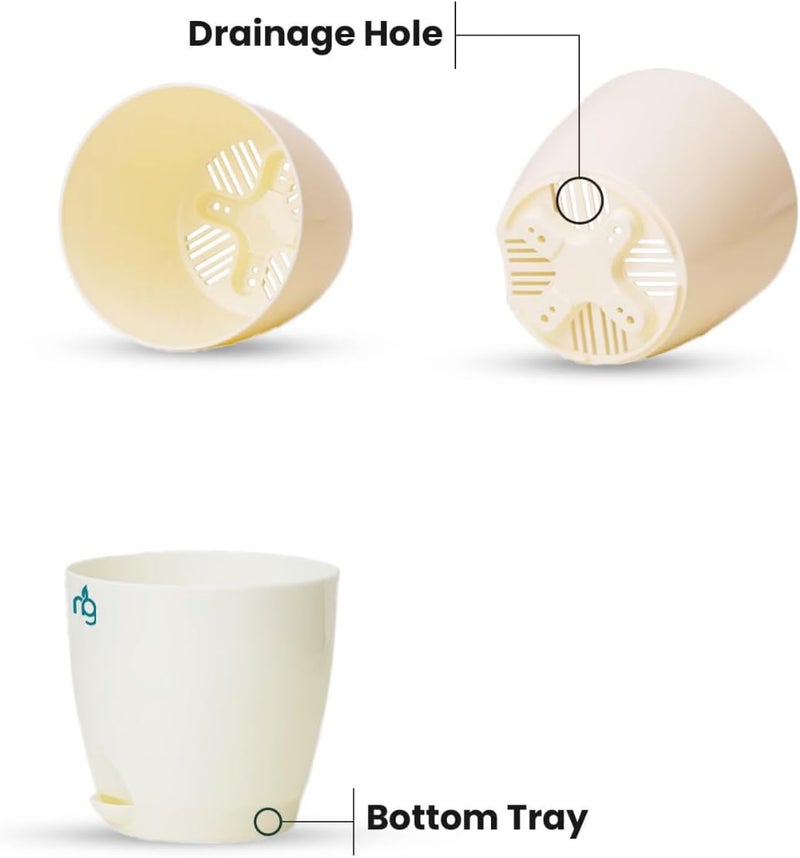 Nurturing Green مجموعة نورتشرينج جرين® المكونة من 8 أواني بلاستيكية ذاتية الري بلون عاجي ومزودة بطلاء لامع | أواني زهور سهلة الصيانة للاستخدام داخل المنزل، على الشرفة أو في الحديقة (الحجم: 4.5 بوصة * 4.33 بوصة) - [النباتات غير مشمولة] - Image 2