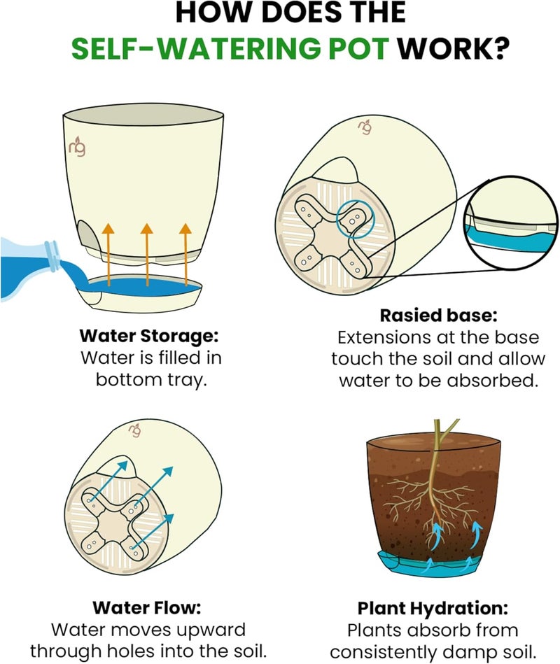 Nurturing Green مجموعة نورتشرينج جرين® المكونة من 8 أواني بلاستيكية ذاتية الري بلون عاجي ومزودة بطلاء لامع | أواني زهور سهلة الصيانة للاستخدام داخل المنزل، على الشرفة أو في الحديقة (الحجم: 4.5 بوصة * 4.33 بوصة) - [النباتات غير مشمولة] - Image 5