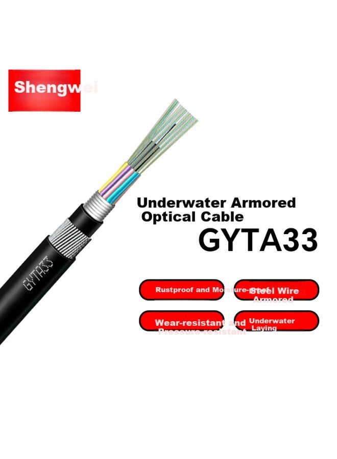 Shengwei Gyta33 Optical Cable Single Mode 4-core National Standard Full Length Outdoor Steel Wire Armored Submarine Direct Burial Heavy Armored Submarine Optical Fiber Cable 1 Meter Bgyta33-4-1 - Image 1