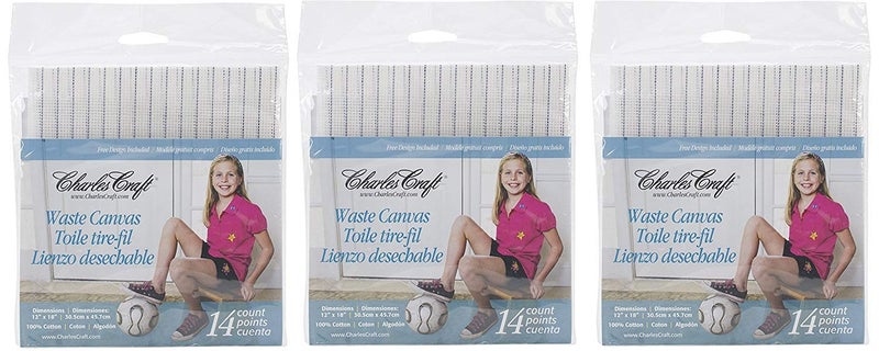 DMC DMC Waste Canvas 14ct 12in x 18in 3 Pack
