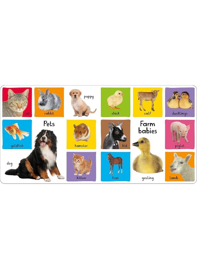 Priddy Books My First 100: Animals - Image 2