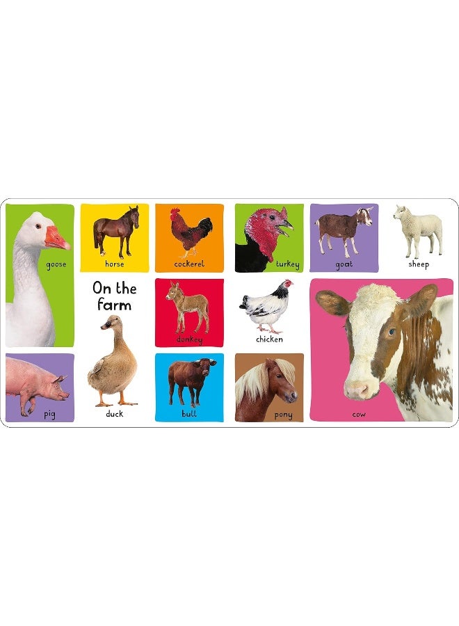 Priddy Books My First 100: Animals - Image 3