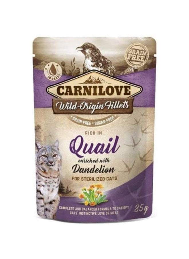 CARNILOVE Carnilove quail flavored wet food enriched with dandelion leaves 85 g 