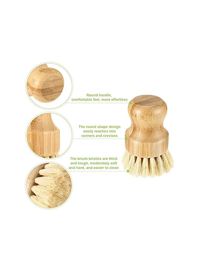 promass 4 Pcs Palm Pot Brush， Bamboo Mini Scrub Brush Coconut Brushes Dish Scrubber for Cast Iron Skillet, Kitchen Sink, Bathroom, Household Cleaning - Image 2