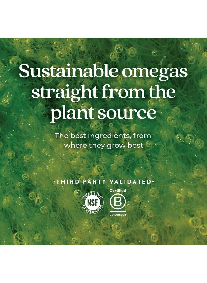 نيو تشابتر مكمل غذائي نباتي من نيو تشابتر، يحتوي على DHA وEPA وDPA - مركب أوميغا 3 نباتي لدعم القلب والدماغ والعين والمفاصل - 30 كبسولة هلامية - Image 4