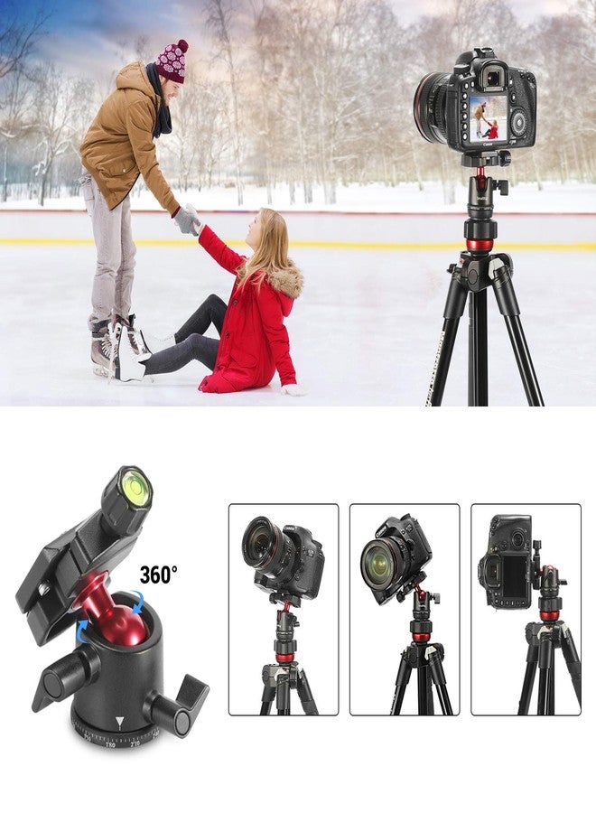 SmallRig Mini Ball Head, Tripod Head Camera 360° Panoramic with 1/4" Screw 3/8" Thread Mount and Quick Release Plate Metal Ball Joint for Monopod, DSLR, Phone, Gopro, Max Load 4.4lbs/2kg - BUT2665 - Image 5