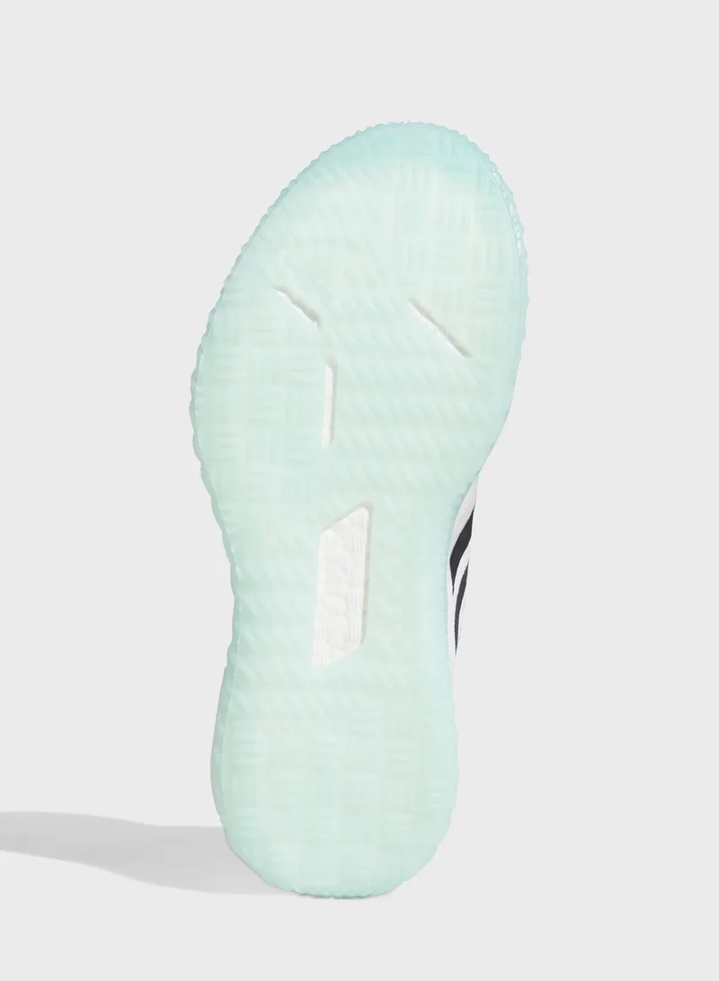 Adidas Fit Pr Trainer M