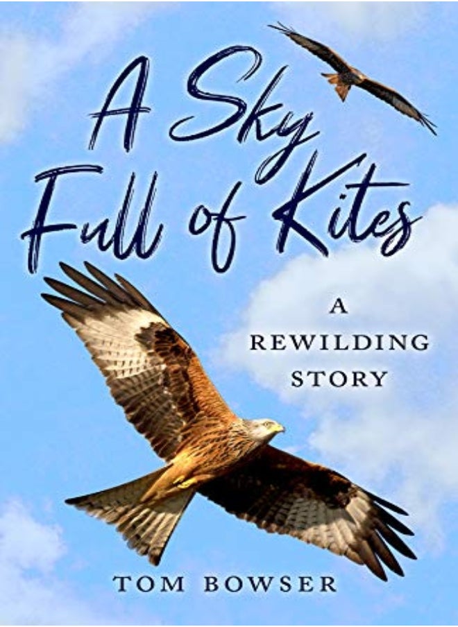 A Sky Full of Kites 