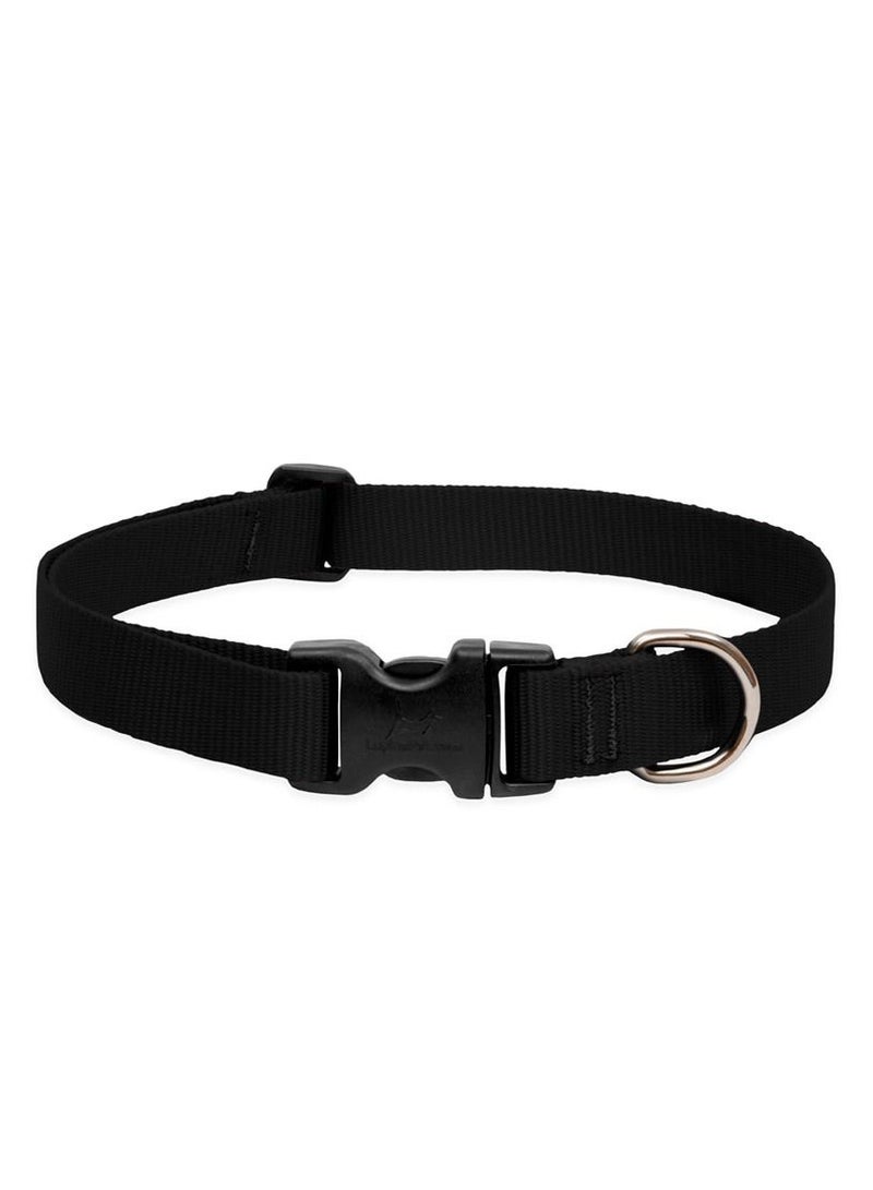 Basics Adjustable Collar Black 1 For Large Dogs Belt
