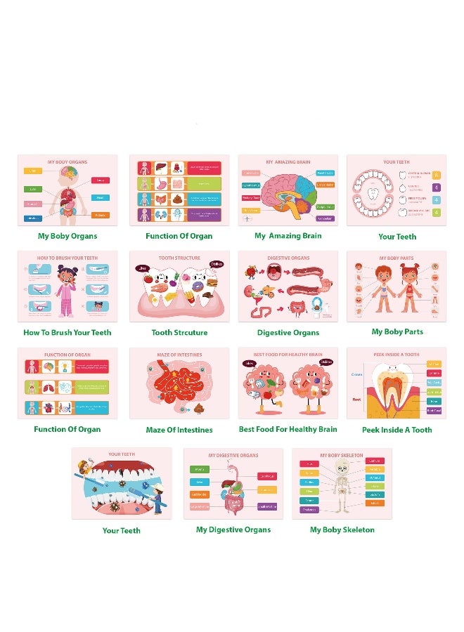 كتاب مشغول للأطفال، كتاب تشريح جسم الإنسان للأطفال الصغار، أنشطة تعليمية لرياض الأطفال، ألعاب حسية للتوحد، ألعاب سفر، هدايا للبنات والأولاد من 4 إلى 8 سنوات - Image 3