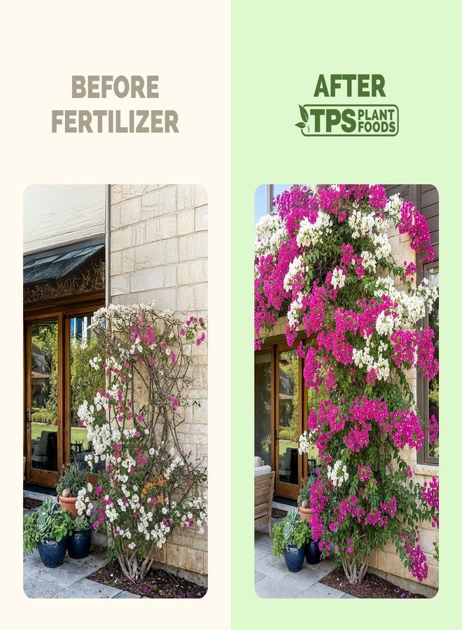TPS NUTRIENTS Bougainvillea Fertilizer - Liquid Plant Food for More Blooms, Brighter Color & Fuller Growth, 8 oz - Image 3