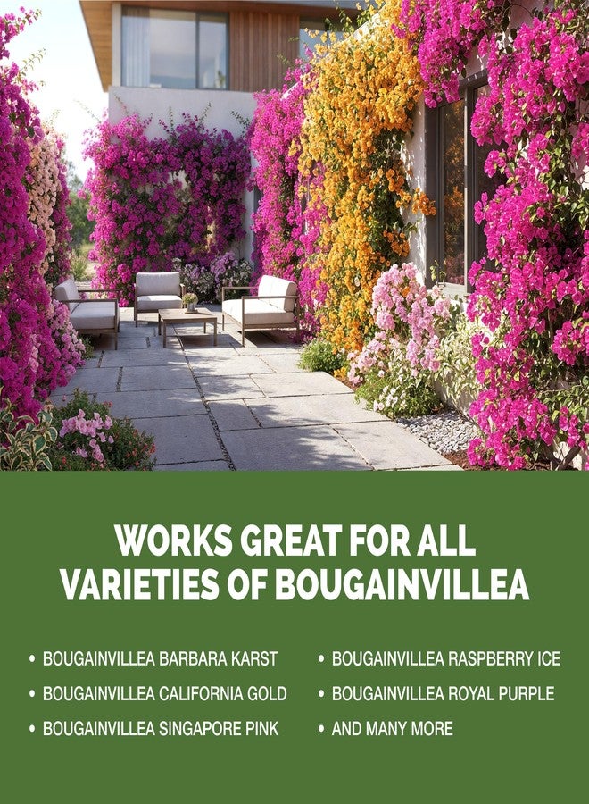 TPS NUTRIENTS Bougainvillea Fertilizer - Liquid Plant Food for More Blooms, Brighter Color & Fuller Growth, 8 oz - Image 5
