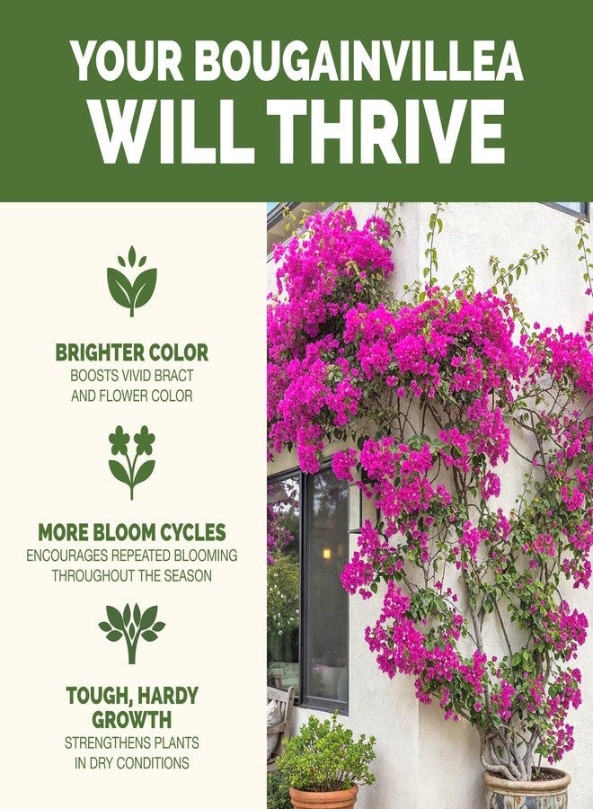 TPS NUTRIENTS Bougainvillea Fertilizer - Liquid Plant Food for More Blooms, Brighter Color & Fuller Growth, 8 oz - Image 2