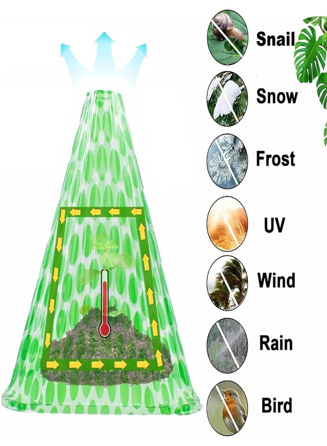 JUSUFU Garden Cloches for Plants, 20 Pack Plant Covers Reusable Plant Bell Cover Protects Plants from Birds, Frost,Snails Etc. - Image 2