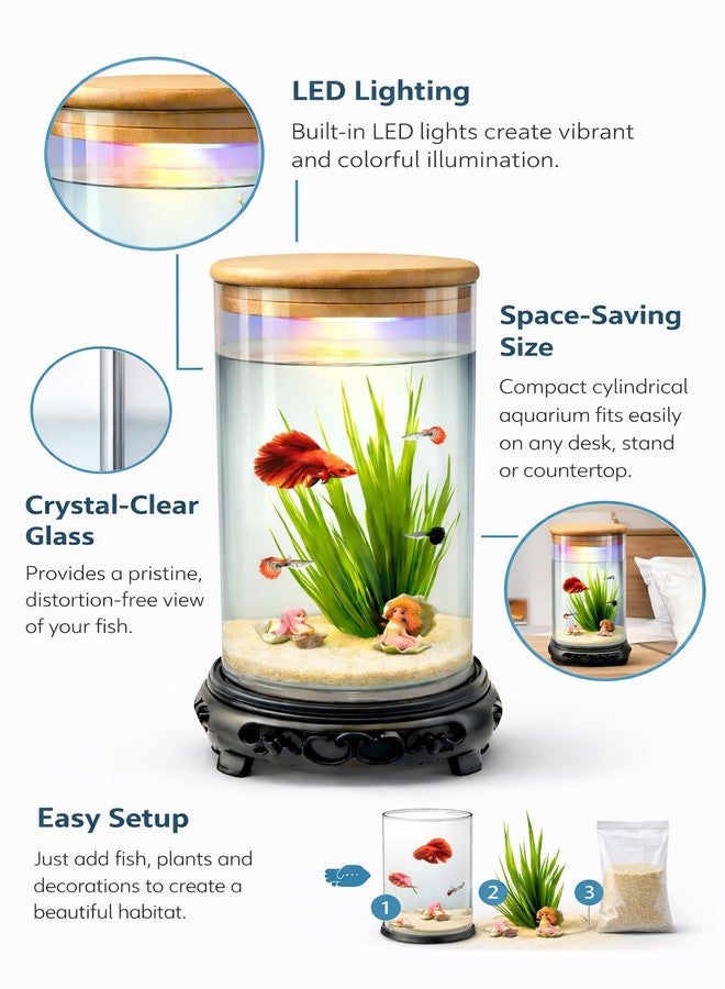 rizopets Desktop mini Fish Tank Aquarium, White, Acrylic, 1.5 Liters, 21x11x11 cm, Rectangular with LED Lighting, Modern Style - Image 4