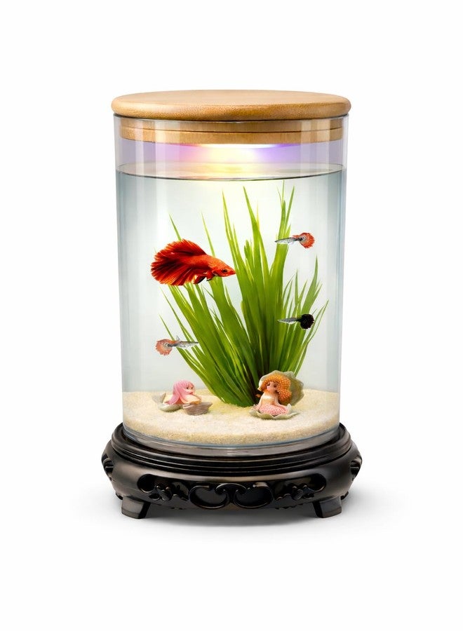 rizopets Desktop mini Fish Tank Aquarium, White, Acrylic, 1.5 Liters, 21x11x11 cm, Rectangular with LED Lighting, Modern Style - Image 1