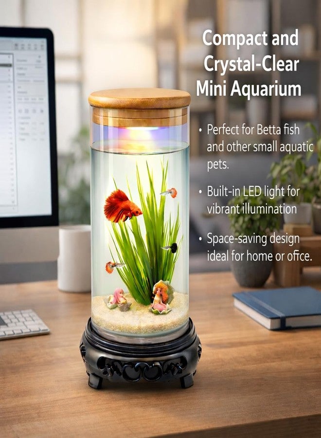 rizopets Desktop mini Fish Tank Aquarium, White, Acrylic, 1.5 Liters, 21x11x11 cm, Rectangular with LED Lighting, Modern Style - Image 3