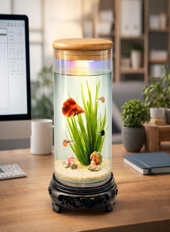 rizopets Desktop mini Fish Tank Aquarium, White, Acrylic, 1.5 Liters, 21x11x11 cm, Rectangular with LED Lighting, Modern Style - Image 2