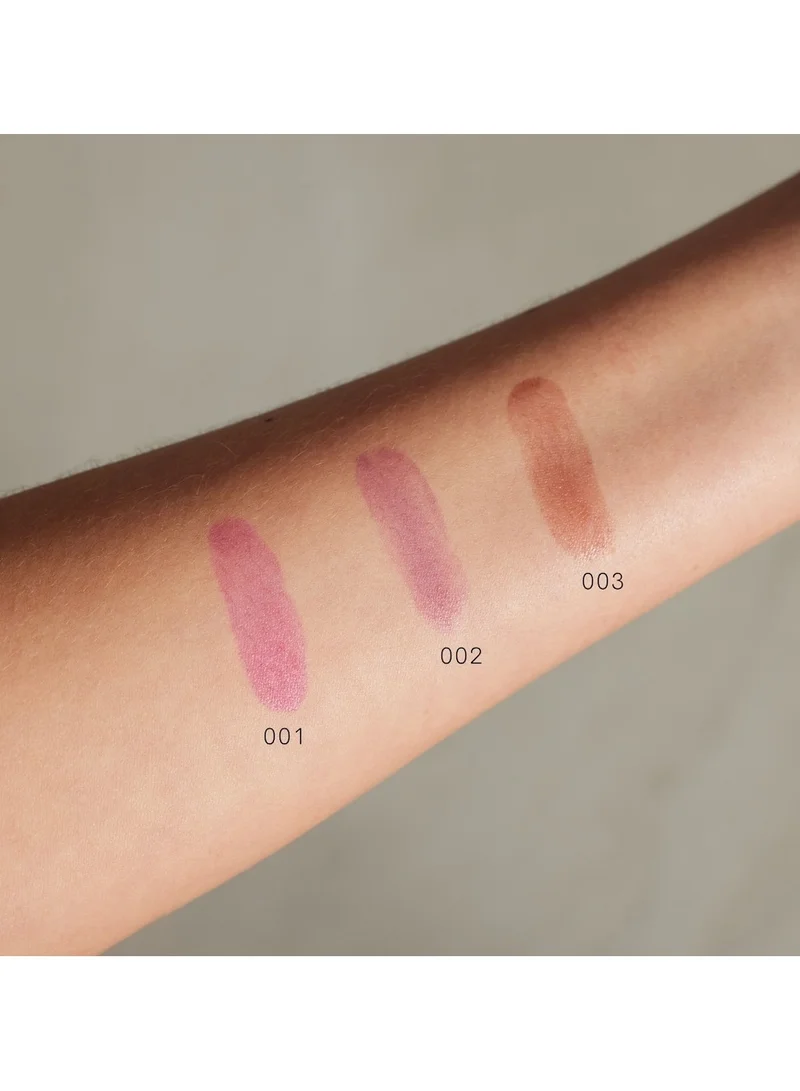gosh GOSH Lip Stain 002 Wild Berry 3ml