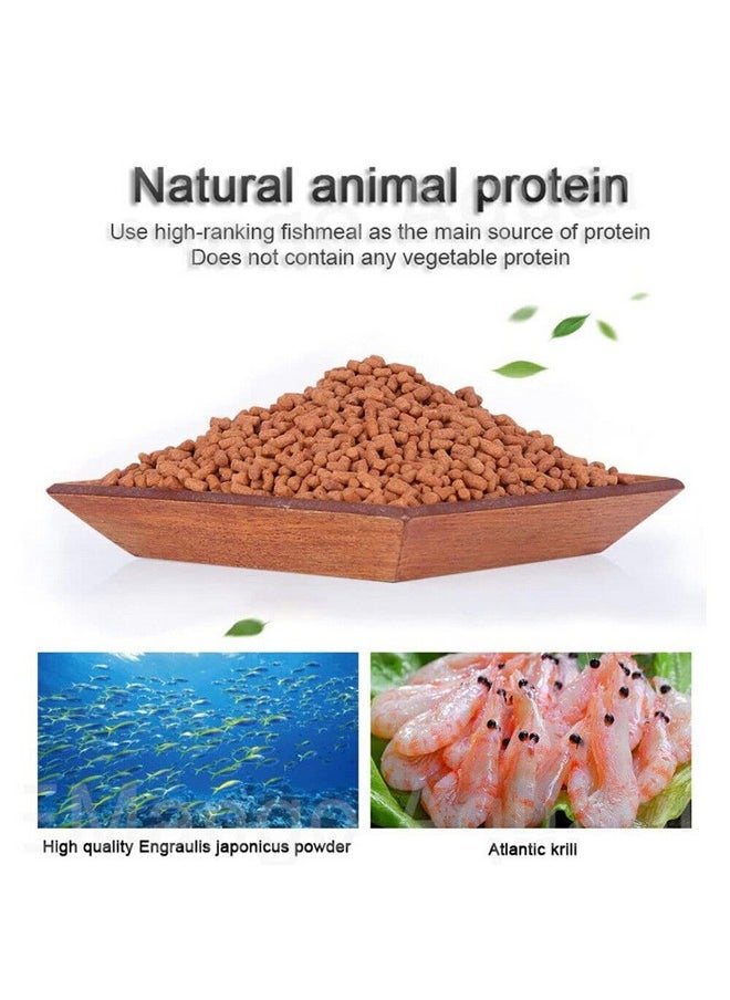 VAYINATO Ocean Free AR-G1 Arowana Carnivorous Pellet (Original) Fish Food, 250G | Daily Feed/Floating Type  - Image 3
