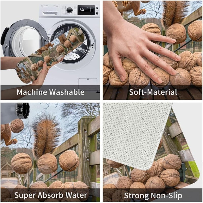 حصيرة الباب PHAYAH Squirrel Nuts مقاس 16x24 بوصة للاستخدام الداخلي والخارجي للشرفة والجراج والرواق - Image 5