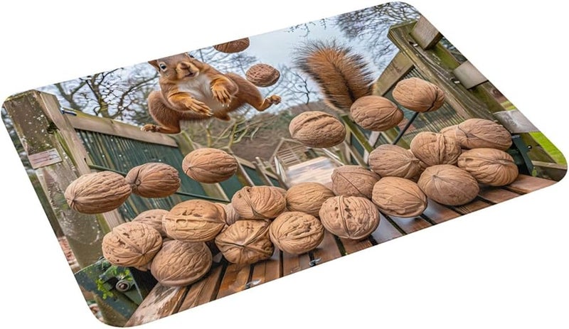 حصيرة الباب PHAYAH Squirrel Nuts مقاس 16x24 بوصة للاستخدام الداخلي والخارجي للشرفة والجراج والرواق - Image 4