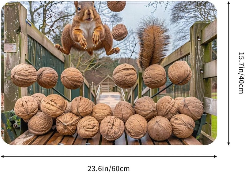 حصيرة الباب PHAYAH Squirrel Nuts مقاس 16x24 بوصة للاستخدام الداخلي والخارجي للشرفة والجراج والرواق - Image 2