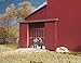 Walthers Cornerstone Farmers Coop Rural Grain Elevator 9333238 N Scale Model Railroad Structure Kit - Image 3