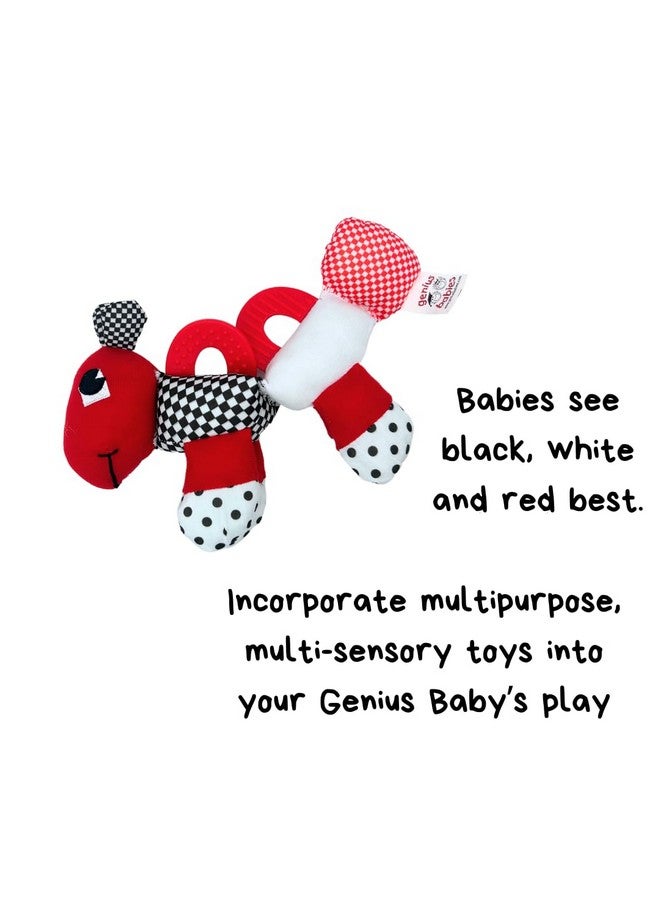 Genius Baby Toys Genius Baby Toys 9" Caterpillar Teether, Teething Toy for Babies and Infants - Image 4