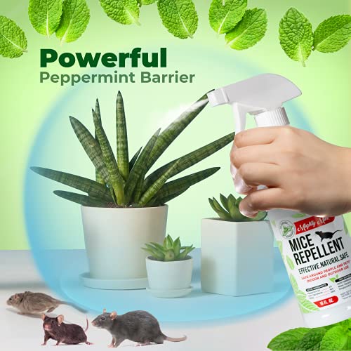 Mighty Mint Peppermint Oil Mouse Repellent Spray – Natural Indoor & Outdoor Control for Mice and Rodents – Plant-Based, Extra-Strong Formula - 16 oz - Image 2