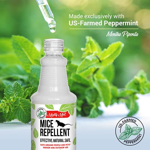 Mighty Mint Peppermint Oil Mouse Repellent Spray – Natural Indoor & Outdoor Control for Mice and Rodents – Plant-Based, Extra-Strong Formula - 16 oz - Image 4