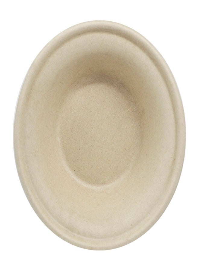 World Centric Compostable Bowls 11.5 oz - Plant Fiber Bowls, PFAS-Free, Freezer Safe - 250 Pack - Image 2