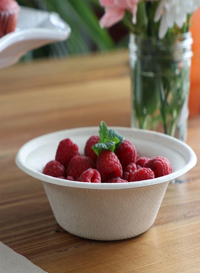 World Centric Compostable Bowls 11.5 oz - Plant Fiber Bowls, PFAS-Free, Freezer Safe - 250 Pack - Image 4