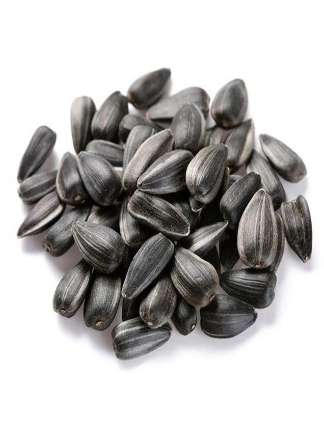 akolity بذور دوار الشمس السوداء الطبيعية من أكوليتي ستار - مناسبة لجميع مراحل نمو الطيور، عبوة 1 كجم - Image 1
