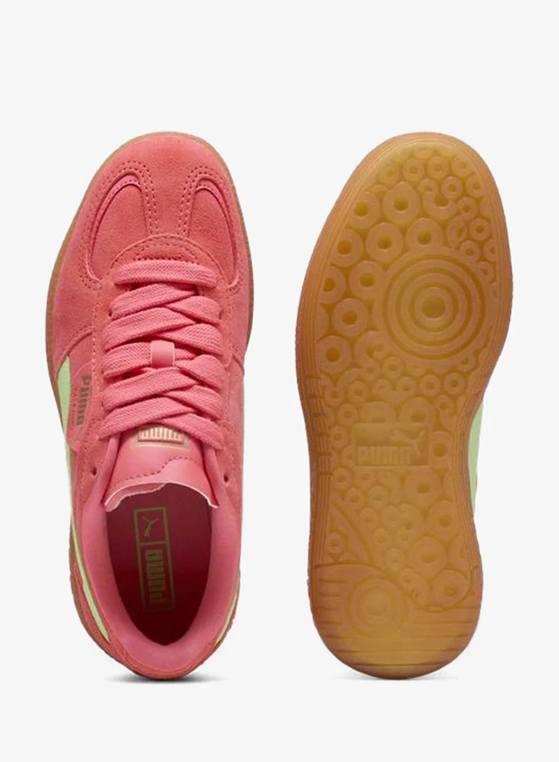Puma pink Palermo Moda Xtra Gum for Women | Best Price UAE
